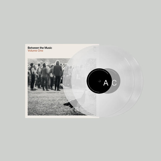 Between The Music Vol. 1 LP Festival Exclusive